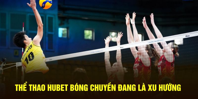 Thể Thao Hubet: "Bóng Chuyền" "Kịch Tính", "Cược Ngay" Nhận Thưởng! - Ảnh 2