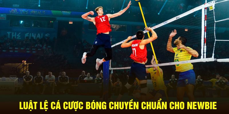 Thể Thao Hubet: "Bóng Chuyền" "Kịch Tính", "Cược Ngay" Nhận Thưởng! - Ảnh 3