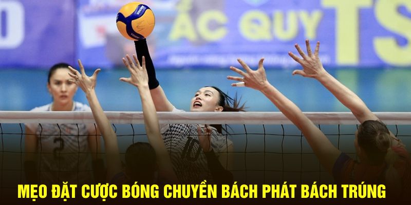 Thể Thao Hubet: "Bóng Chuyền" "Kịch Tính", "Cược Ngay" Nhận Thưởng! - Ảnh 5