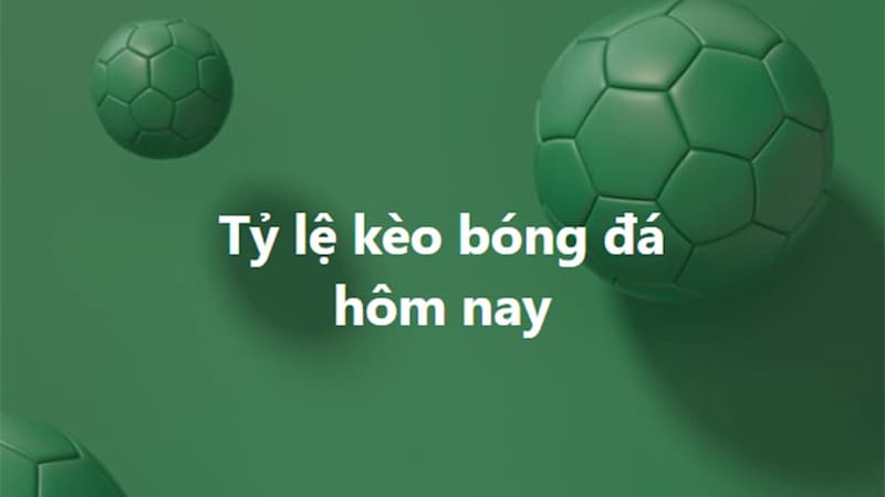 Tân thủ nên bắt tỷ lệ kèo nhà cái nào? Giải đáp chi tiết nhất - Ảnh 1