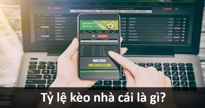 Phân tích tỷ lệ kèo nhà cái - Bí quyết chọn kèo thắng lớn - Ảnh 1