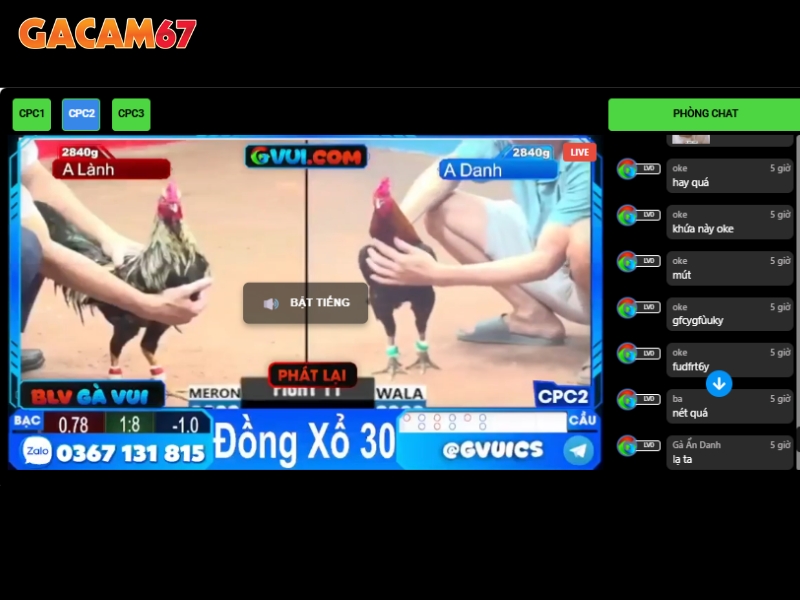Gacam67 - Trang phát đá gà trực tiếp chất lượng nhất Việt Nam - Ảnh 1