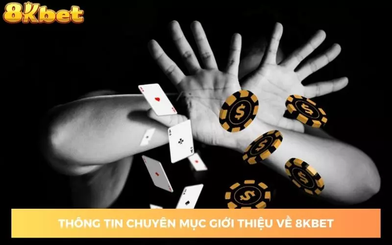 8KBET – Nhà cái uy tín hàng đầu châu Á dưới sự dẫn dắt của CEO Mạnh Dũng - Ảnh 1