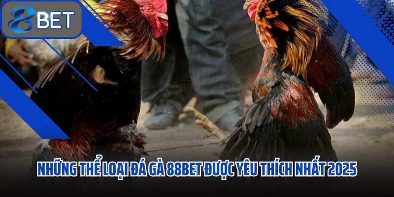 Đá Gà 88BET – Kèo Căng Như Dây Đàn, Mỗi Trận Một Màn Sát Phạt Rực Lửa - Ảnh 2