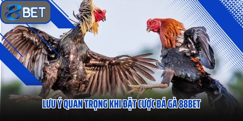 Đá Gà 88BET – Kèo Căng Như Dây Đàn, Mỗi Trận Một Màn Sát Phạt Rực Lửa - Ảnh 3