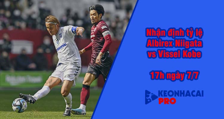 Tỷ lệ kèo nhà cái Albirex Niigata vs Vissel Kobe, 17h00 ngày 7/7 - Ảnh 2