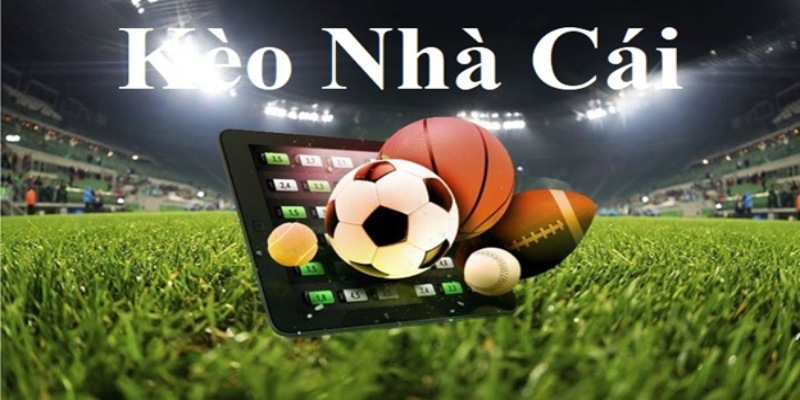 Keo Nha Cai: Khái niệm cơ bản và vai trò trong cá cược bóng đá - Ảnh 1